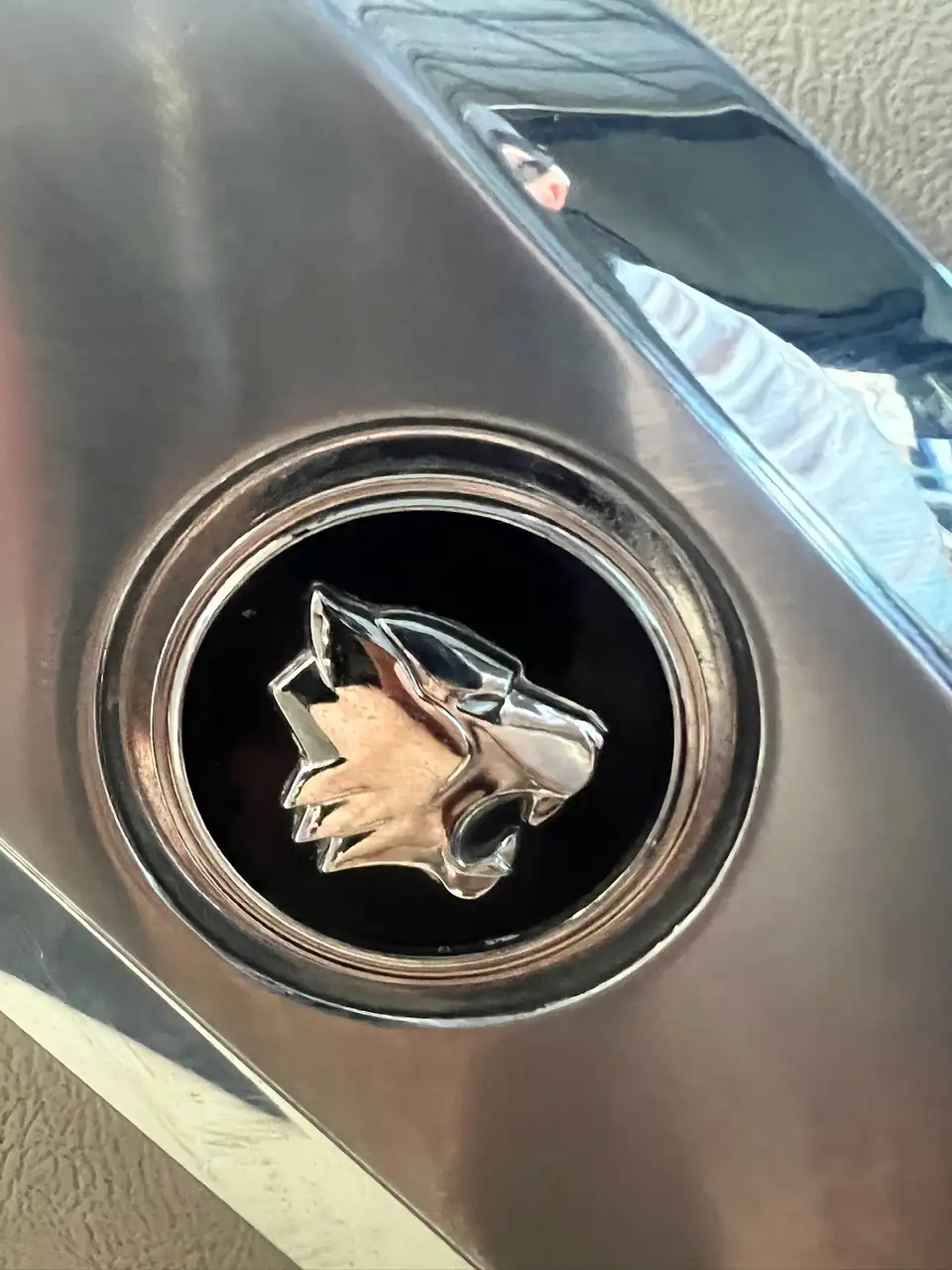 Close-up of the Wildcat head emblem