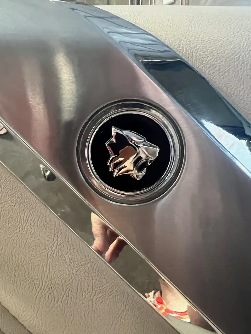 Chrome Wildcat head emblem set into CHARLOT's door panel